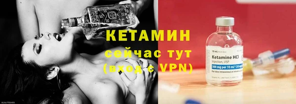 прущие грибы Михайловка