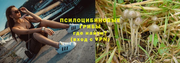 прущие грибы Михайловка