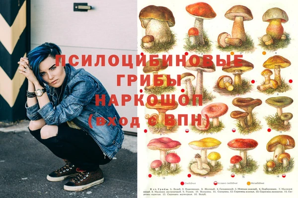 прущие грибы Михайловка