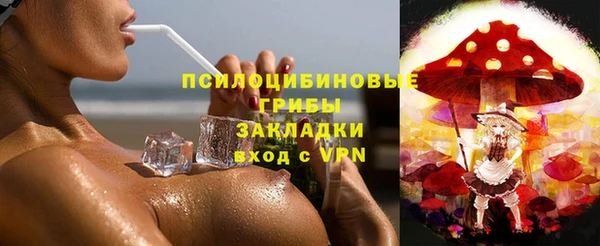 прущие грибы Михайловка