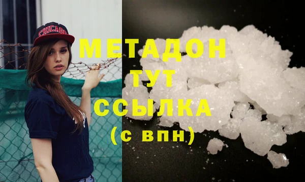 прущие грибы Михайловка